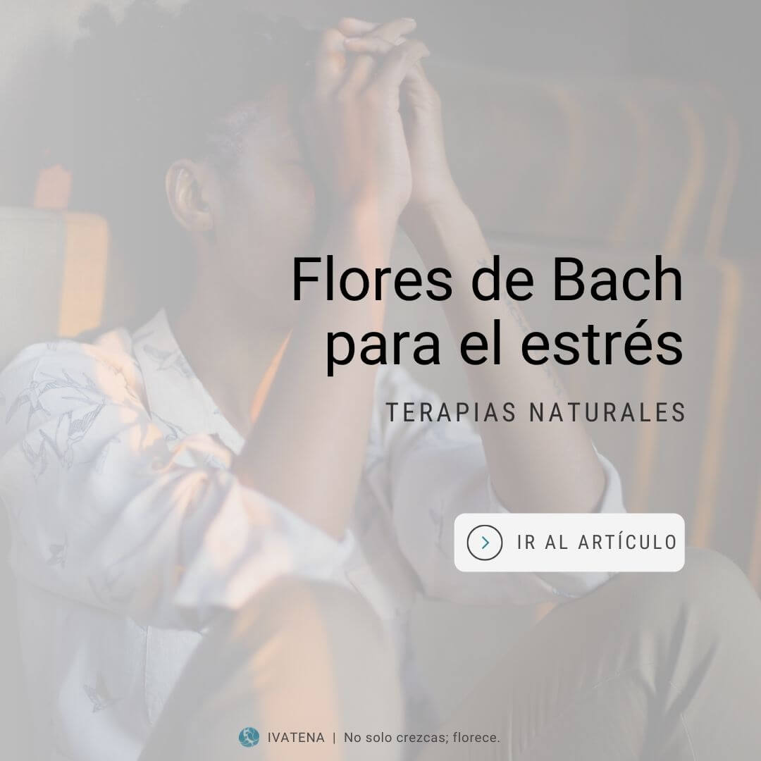 Flores de Bach para el estrés - Instituto Valenciano de Terapias Naturales