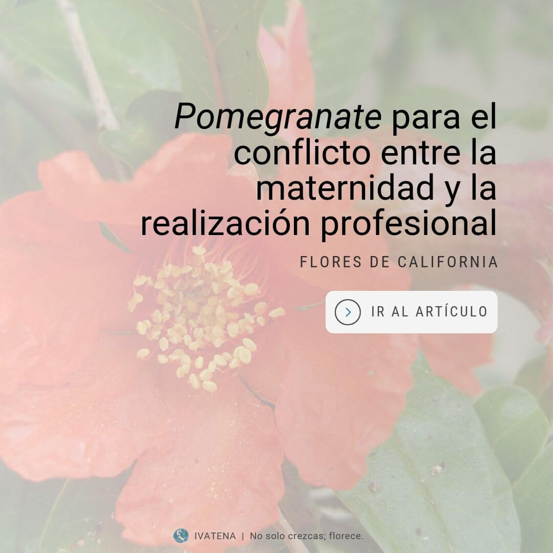 Flores de California: Pomegranate para el conflicto entre la maternidad y  la realización profesional - Instituto Valenciano de Terapias Naturales