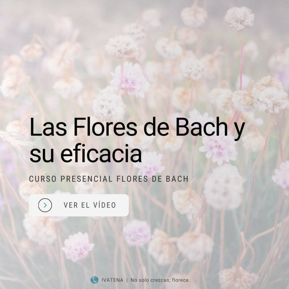 Eficacia de las Flores de Bach