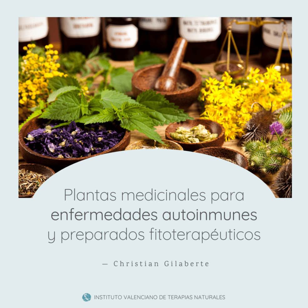 plantas-medicinales-fitoterapia-autoinmunes